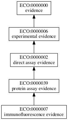 ECO:0000007