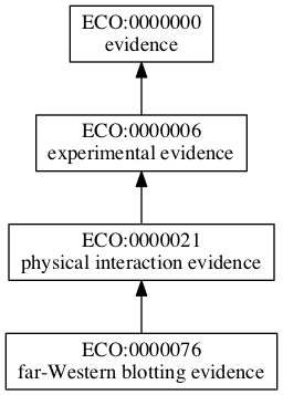 ECO:0000076