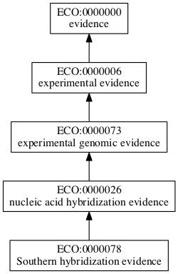 ECO:0000078