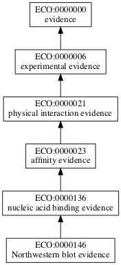 ECO:0000146