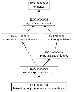 ECO:0000154
