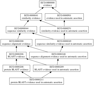 ECO:0000211