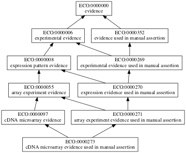 ECO:0000273