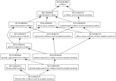 ECO:0000279