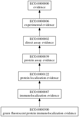 ECO:0000300