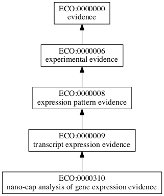 ECO:0000310