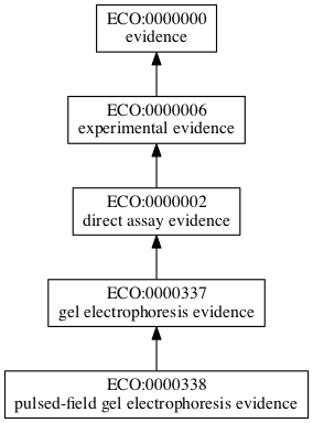 ECO:0000338