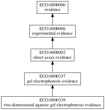 ECO:0000339