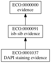 ECO:0001037