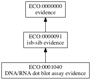 ECO:0001040