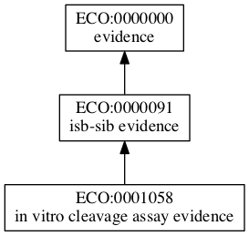 ECO:0001058