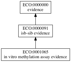 ECO:0001065