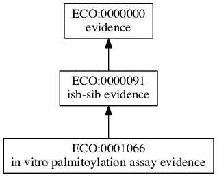 ECO:0001066