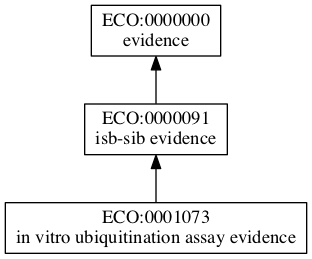 ECO:0001073