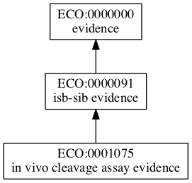 ECO:0001075
