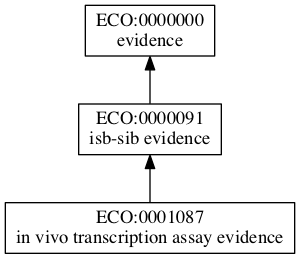 ECO:0001087
