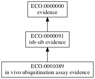 ECO:0001089