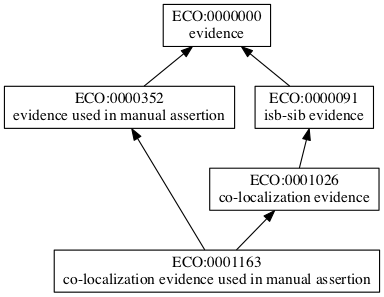 ECO:0001163