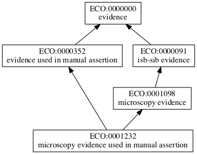 ECO:0001232