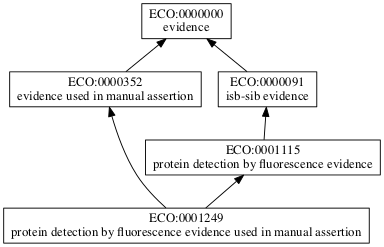 ECO:0001249