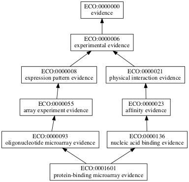 ECO:0001601