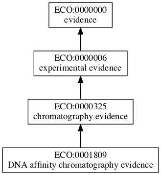 ECO:0001809