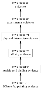 ECO:0001810