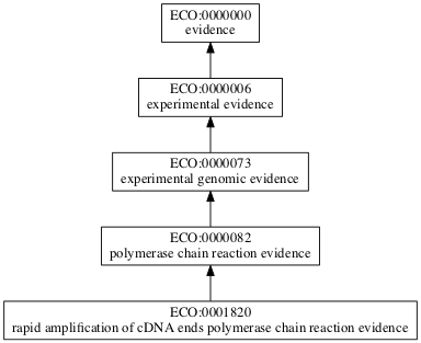 ECO:0001820