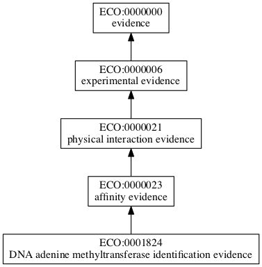 ECO:0001824