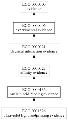 ECO:0001826