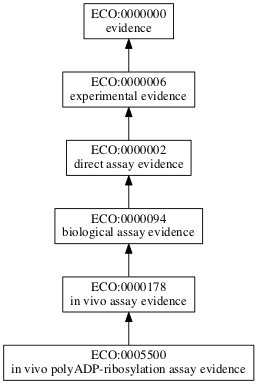 ECO:0005500