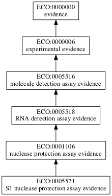 ECO:0005521