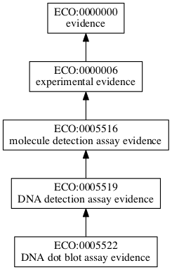 ECO:0005522