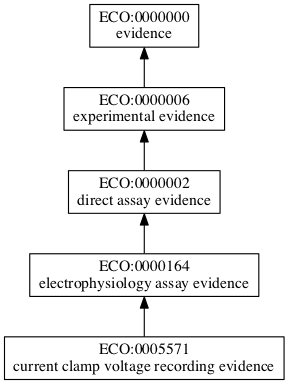 ECO:0005571