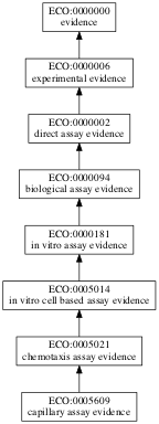 ECO:0005609