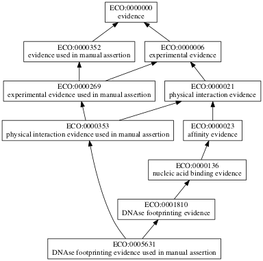 ECO:0005631