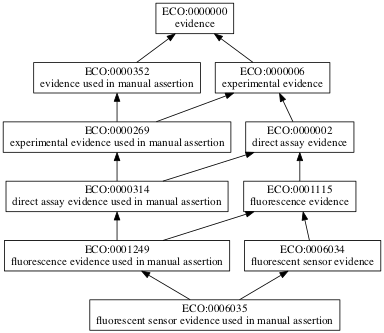 ECO:0006035