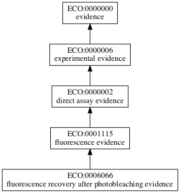 ECO:0006066