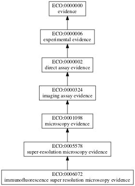 ECO:0006072