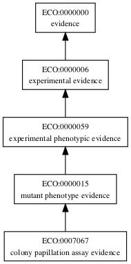 ECO:0007067