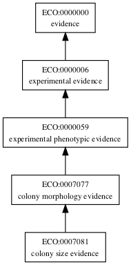 ECO:0007081