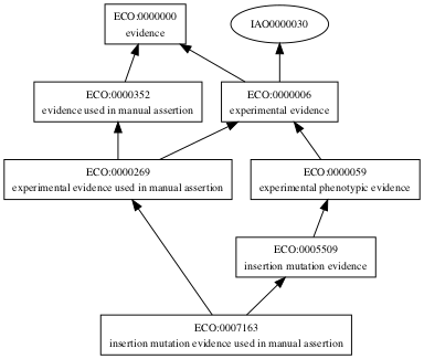ECO:0007163