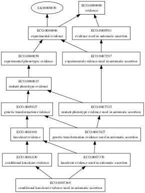ECO:0007369