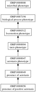 OMP:0000056