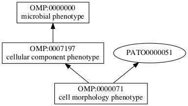 OMP:0000071
