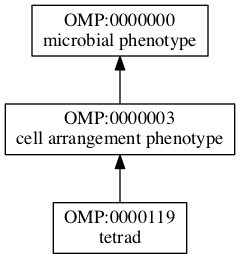 OMP:0000119