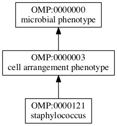 OMP:0000121