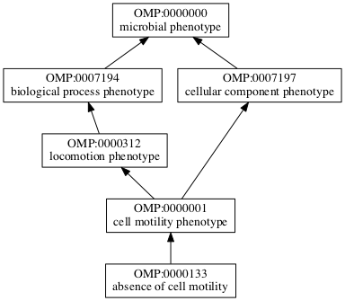 OMP:0000133