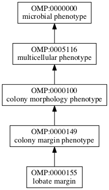 OMP:0000155