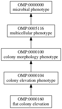 OMP:0000160